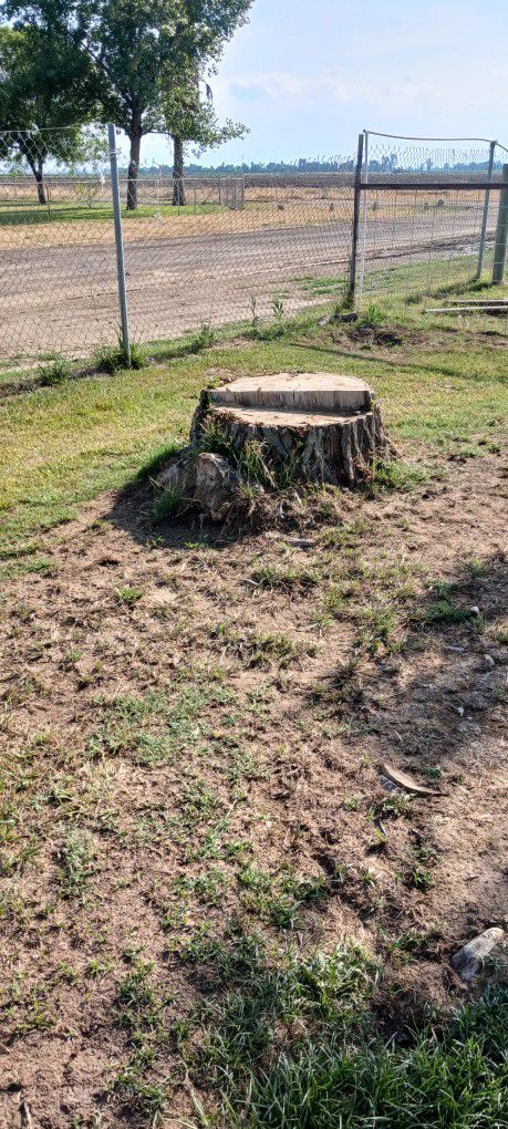 Need Stumps Removed And Lawn Tractors For 50.00