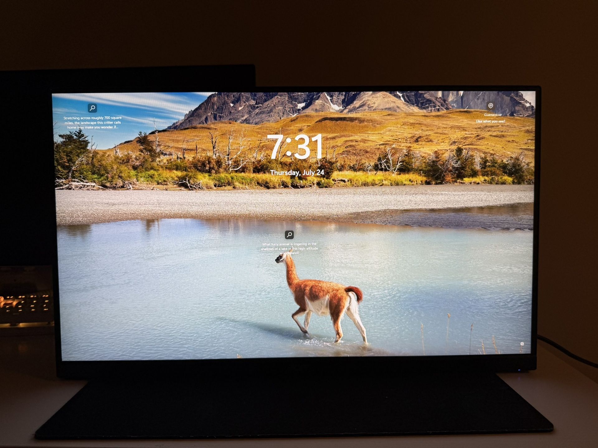 Acer Nitro 24.5” 250Hz Gaming Monitor – Excellent Condition, Monitor Arm Ready