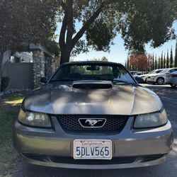 2003 Ford Mustang 