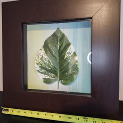 16"x16" Framed Shadowbox Fern Greenery Green Hanging Decor