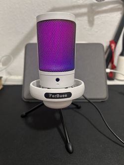 Ferbuee Microphone 