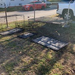Almost Brand New Cages, Like New and ready for the furry babies! I Have a Big, Medium And Small Cage for $40 Each!