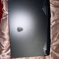 MSI GE76 Raider Gaming Laptop