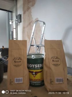 Cheap paint