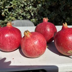 Pomegranates