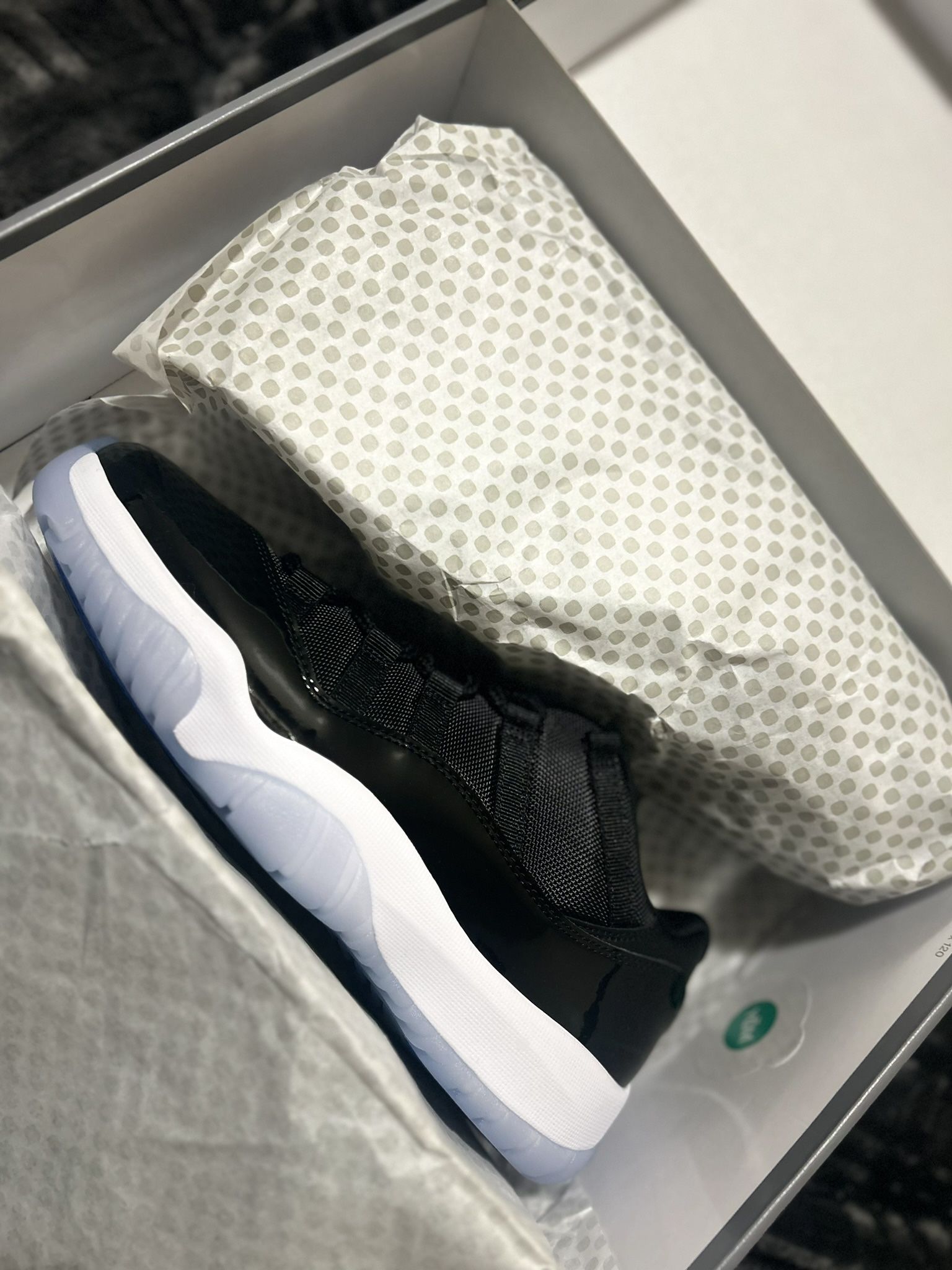 DS Jordan Retro 11s Space Jam Low