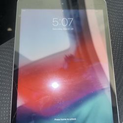 iPad mini 2