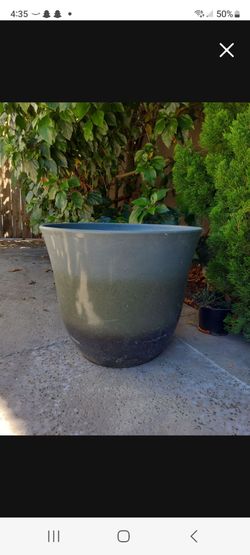 Flower & plant pot