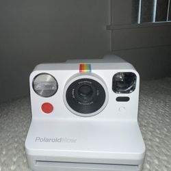 Polaroid Now