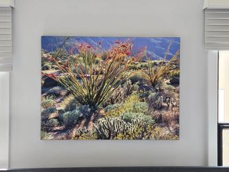 Large Desert Landscape Photograph