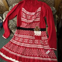 $20 XXL Gingerbread sweater dress w/attached apron!
