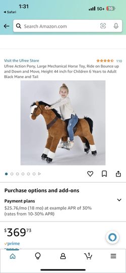 Pony Rider