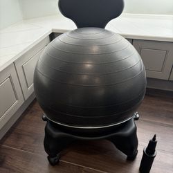 Gaiam Ball Chair