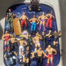 WWE wrestlers and ring
