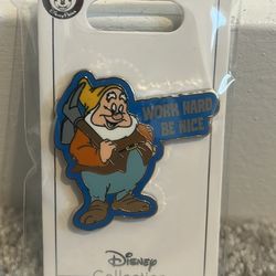 Disney Pins! Look At Pictures! 