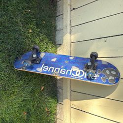 Skate Board 
