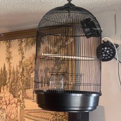 Bird Cage , Hanging
