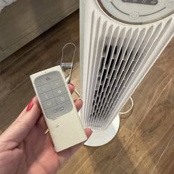 Fan with remote