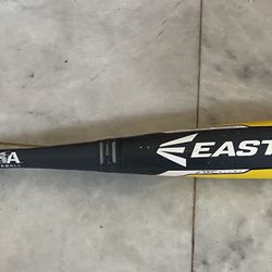 Easton Beast  X Hybrid Baseball Bat 29 Drop 10