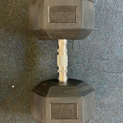 75 LB Rogue Dumbbells  