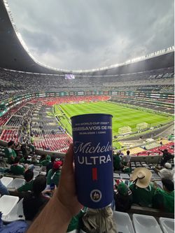 Vaso de Mexico vs Ecuador