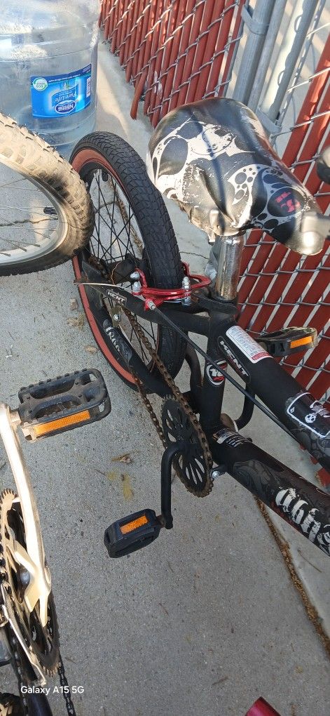BMX Bike Kids