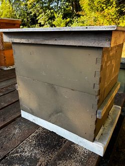 Bee hive
