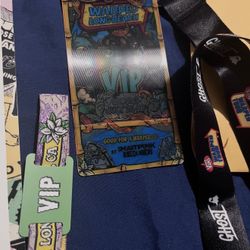 Warped Tour VIP