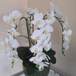 Silk Orchid Arrangement 