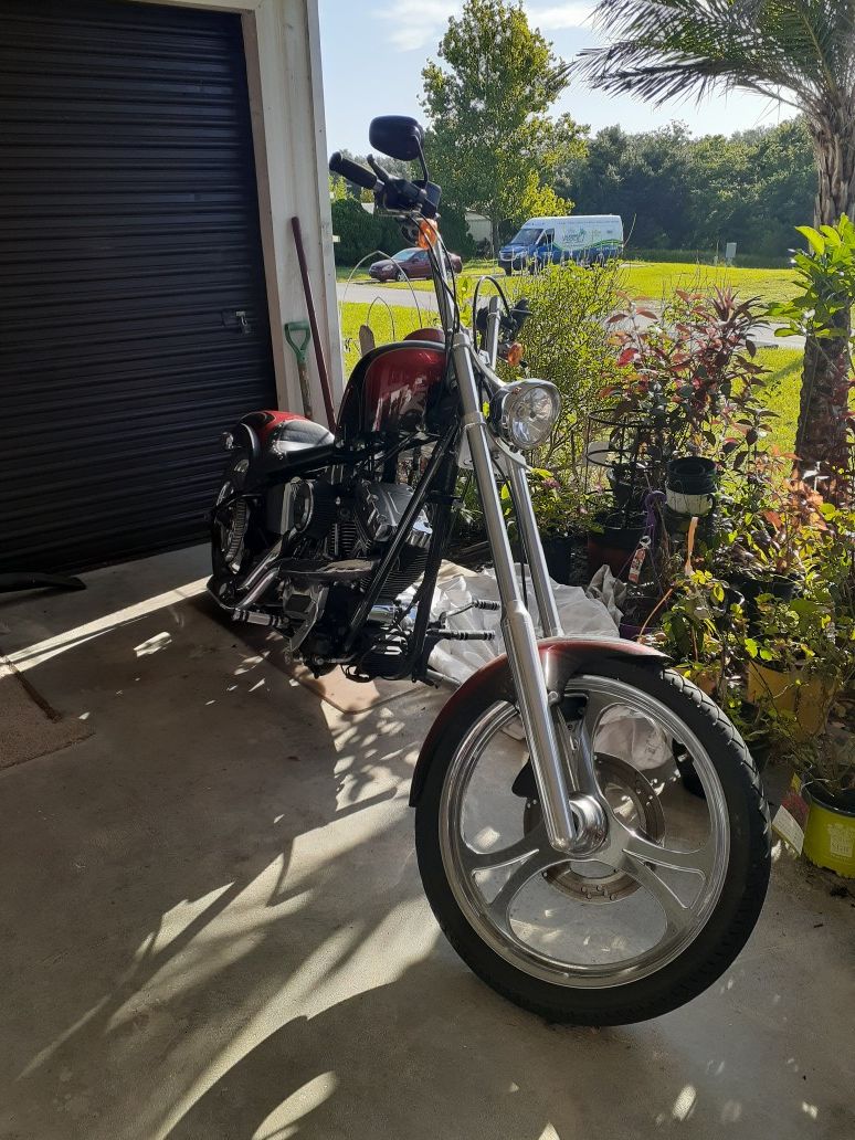 2008 Thunder Mountain chopper