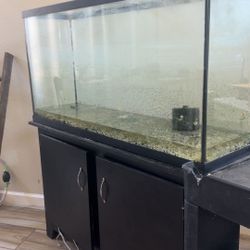 75 Gallon Fish Tank With Equipment 