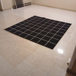 Black & White Checkered Rug 