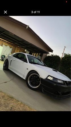 2000 Ford Mustang gt