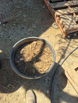 Botes para planta