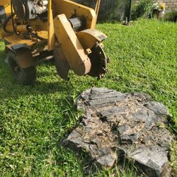 Stump Grinding 