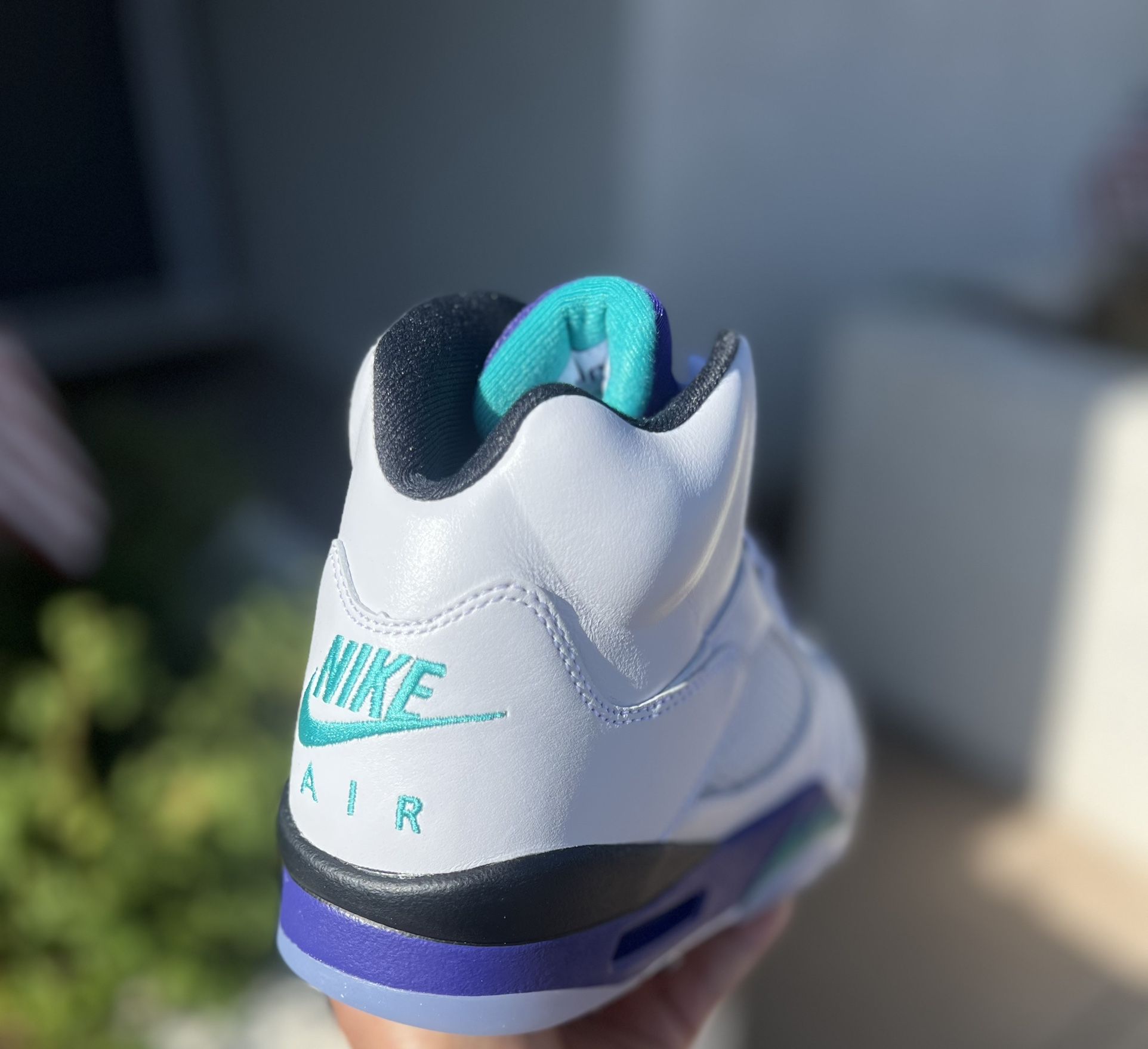 Jordan 5