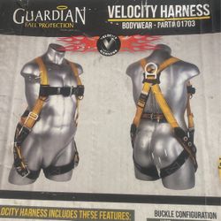 Safety Harness