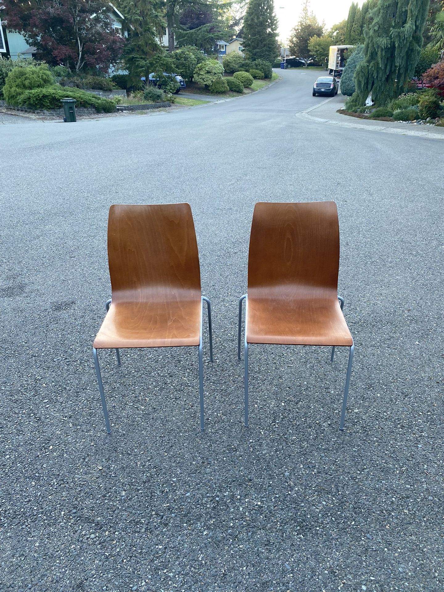 Dining Chairs