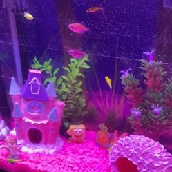 Move Out Sale Fish Tank 