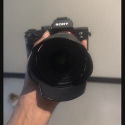 Sony A7iii 
