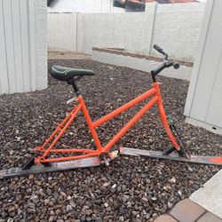 Ski bike