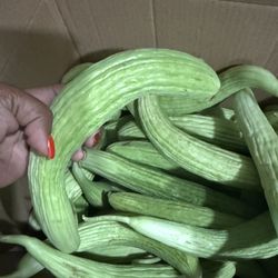 English Cucumbers