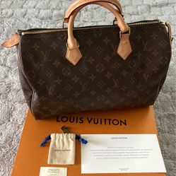 Louis Vuitton Handbag