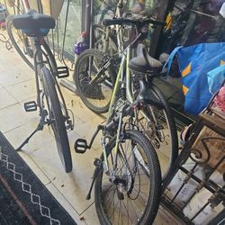 Bikes 