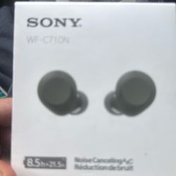 Sony Earbuds 