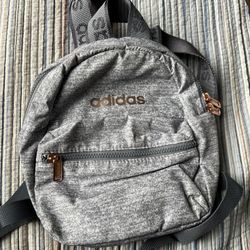 Small Adidas Backpack