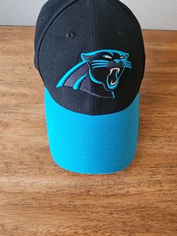 Carolina Panthers NFL Cap