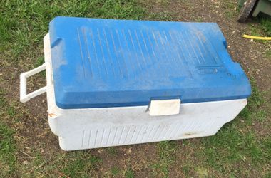 Ice chest cooler