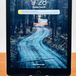 Apple iPad Air 2 64GB Cellular Unlocked Fully Functional iOS 15