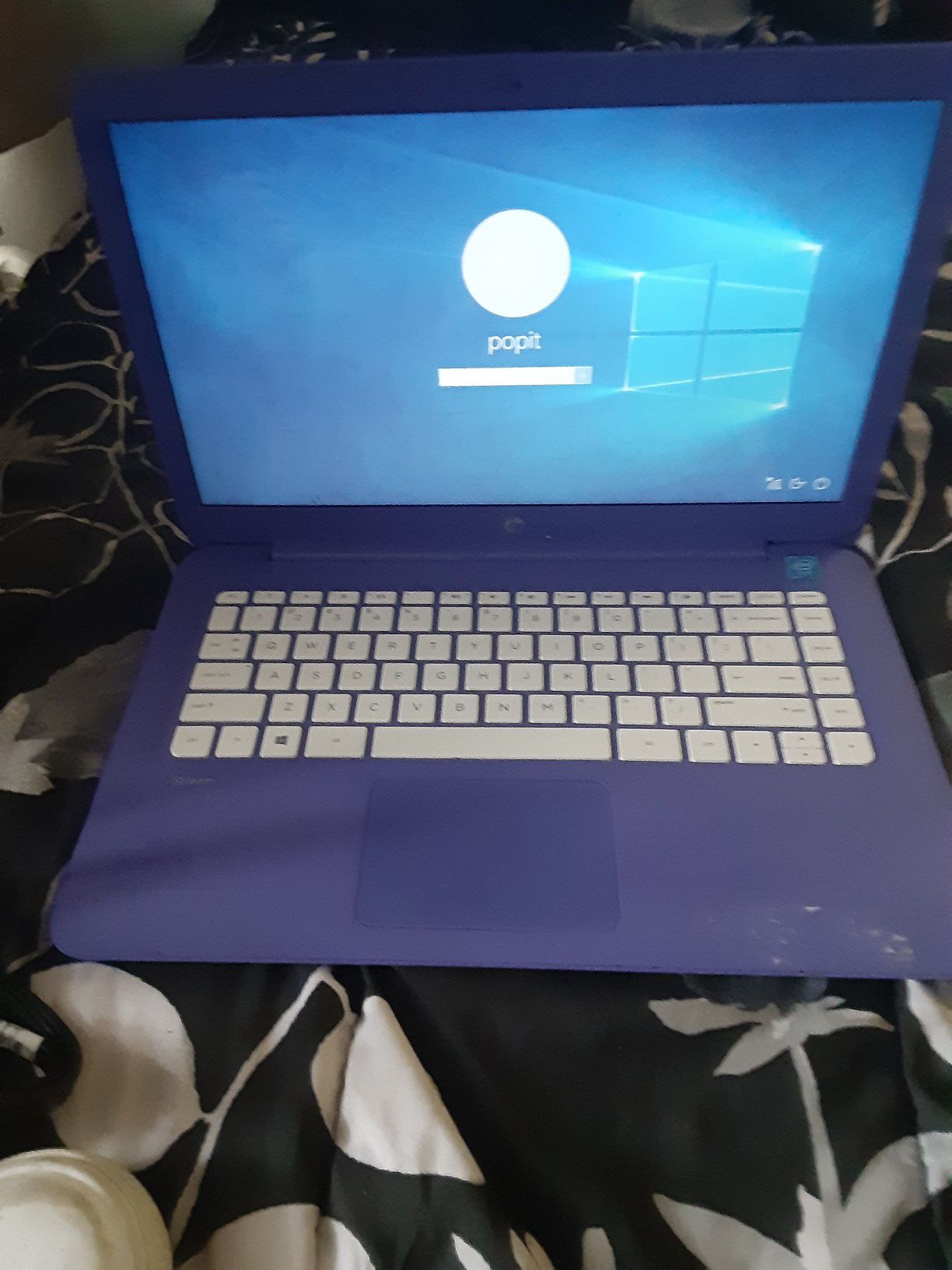 Purple Hp stream laptop 14